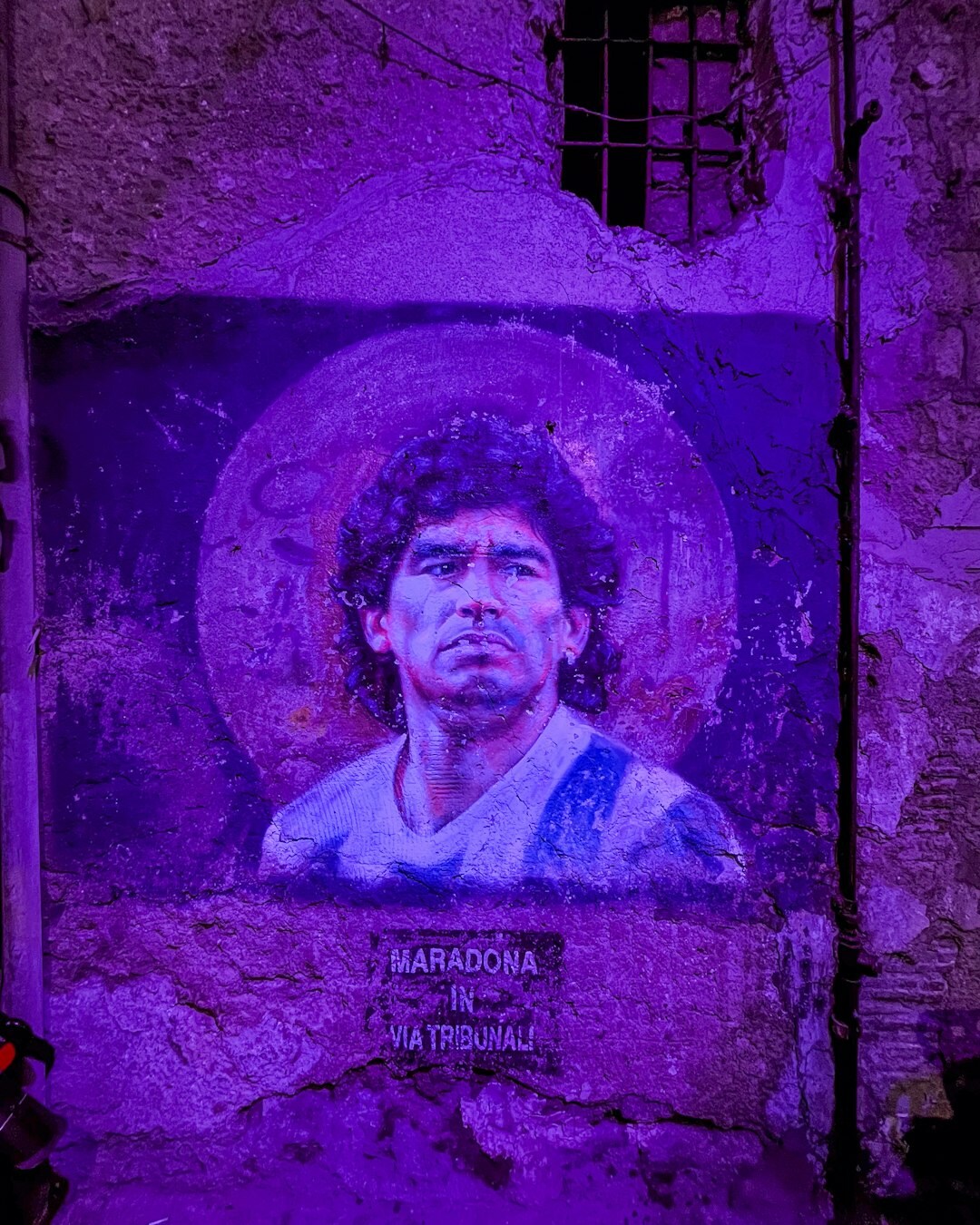 iconic celebrity portrait